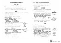 广西钦州市浦北县2024-2025学年九年级上学期期中检测数学试题