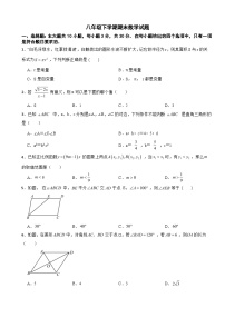 广东省韶关市乐昌市2025年八年级下学期期末数学试题及答案