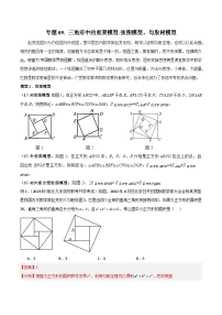 2025年中考数学专题复习讲义专题09 三角形中的重要模型-弦图模型、勾股树模型（解析版）