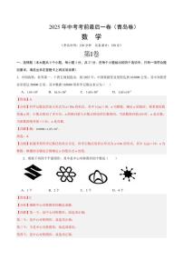 中考最后一卷数学(青岛卷)(全解全析)