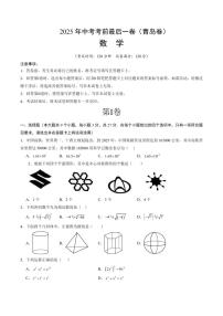 中考最后一卷数学(青岛卷)(考试版)