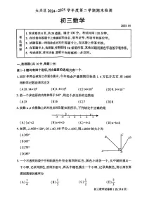 2025年北京市大兴区九年级中考二模数学试卷（中考模拟）