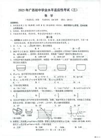 2025年广西壮族自治区柳州市中考三模数学试题（中考模拟）