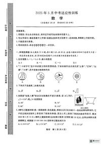 2025年广西壮族自治区中考三模数学试题（中考模拟）