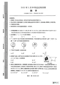 2025年广西壮族自治区中考三模数学试题（中考模拟）