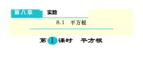 初中数学人教版（2024）七年级下册（2024）平方根教课课件ppt