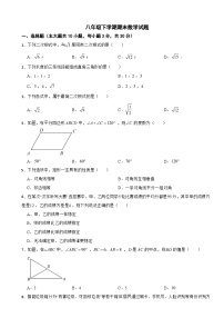 广东省湛江市赤坎区2025年八年级下学期期末数学试题及答案