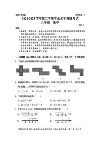2025年4月深圳市罗湖区初三二模数学试卷及参考答案