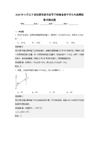 2025年5月辽宁省抚顺市新宾县苇子峪镇富家中学九年级模拟数学测试题（解析版）