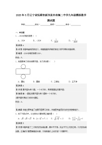 2025年5月辽宁省抚顺市新宾县木奇镇二中学九年级模拟数学测试题（解析版）