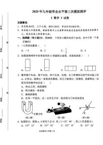 2025年河南省新乡市河南师范大学附属中学中考三模数学试题（中考模拟）