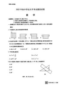 2025年内蒙古自治区包头市九年级中考三模数学试卷（中考模拟）