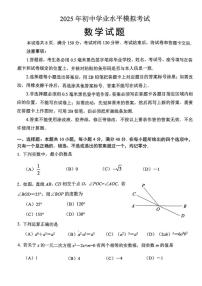 2025年山东省淄博市周村区九年级中考二模数学试卷（中考模拟）