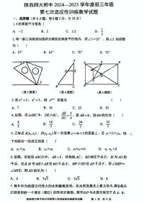 2025年陕西省西安市陕西师范大学附属中学中考七模数学试卷（中考模拟）
