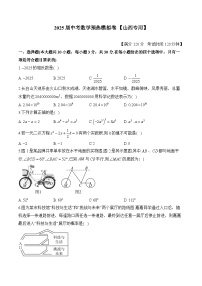 2025届中考数学模拟卷 【山西专用】
