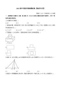 2025届中考数学模拟卷 【陕西专用】