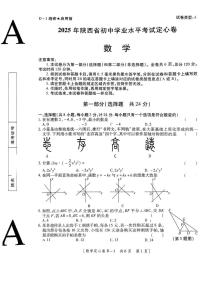 2025年陕西省延安市志丹县部分学校九年级联合模拟考试数学试题（中考模拟）