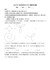 2025年广东省东莞市中考二模数学试题（中考模拟）