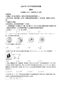 2025年广西壮族自治区百色市中考二模数学试题（中考模拟）