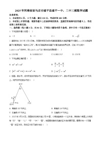 2025年河南省驻马店市遂平县遂平一中，二中三模数学试题 （中考模拟）
