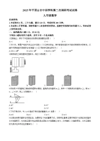 2025年河南省平顶山市九年级中考二模数学试题（中考模拟）