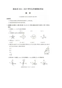 2025年青海省海东市第二次中考模拟数学试卷（中考模拟）
