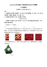 2025年山东省青岛市黄岛区2025年中考二模数学试题（中考模拟）