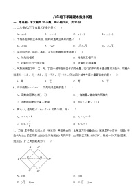 广东省惠州市2025年八年级下学期期末数学试题及答案及答案