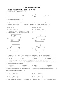 广东省湛江市廉江市2025年八年级下学期期末数学试题及答案