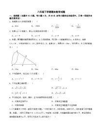 广东省湛江市霞山区2025年八年级下学期期末数学试题及答案