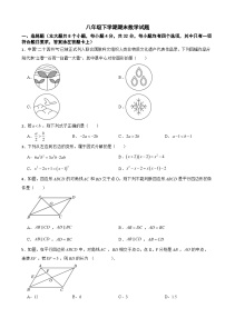 四川省成都市龙泉驿区2025年八年级下学期期末数学试题及答案