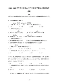 2024_2025学年四川眉山八年级第二学期6月期末数学试卷[有答案]