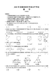 2025年安徽马鞍山市中考三模数学试题+答案