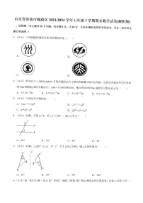 2025年济南市槐荫区七年级数学下学期期末考试及其答案解析