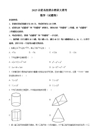2025年安徽省合肥市名校九年级联合教研大联考数学试卷　（中考模拟）
