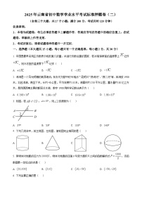 2025年云南省楚雄彝族自治州元谋县二模数学试题（中考模拟）