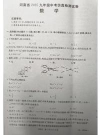 2025年河南省周口市项城市项城市公园路、名仕路等学校九年级模拟考试三模数学试题（中考模拟 ）