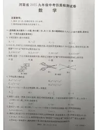 2025年河南省周口市项城市项城市公园路、名仕路等学校九年级模拟考试三模数学试题（中考模拟 ）