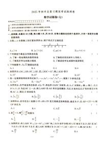 2025年湖南省张家界市桑植县中考三模数学试题（中考模拟 ）