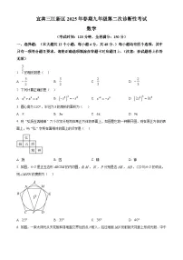 +2025年四川省宜宾市翠屏区中考二模数学试题+（中考模拟 ）