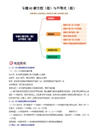 2025年中考数学专题复习练习专题02解方程(组)与不等式(组)(解析版)