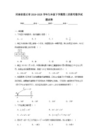 河南省商丘市2024-2025学年九年级下学期第三次联考数学试题试卷（无答案）