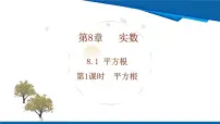 初中数学人教版（2024）七年级下册（2024）平方根教学课件ppt