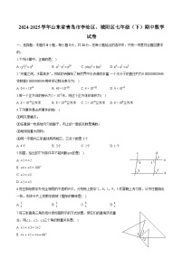 山东省青岛市李沧区、城阳区2024-2025学年七年级下学期期中 数学试卷