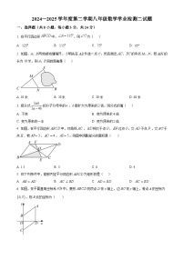 陕西省西安高新第一中学2024-2025学年八年级下学期5月月考 数学试题