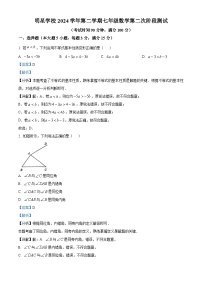 上海市闵行区明星学校2024-2025学年七年级下学期 数学月考卷（含解析）