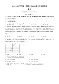 四川省成都市玉林中学2024-2025学年七年级下学期5月月考 数学试题
