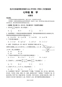 浙江省杭州市保俶塔教育集团2024-2025学年七年级下学期5月考试 数学试题（PDF版）