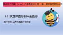 鲁教版（五四学制）（2024）六年级上册（2024）从立体图形到平面图形课文ppt课件