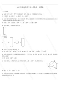 郴州2025年初中学业水平考试第一次监测-数学含答案